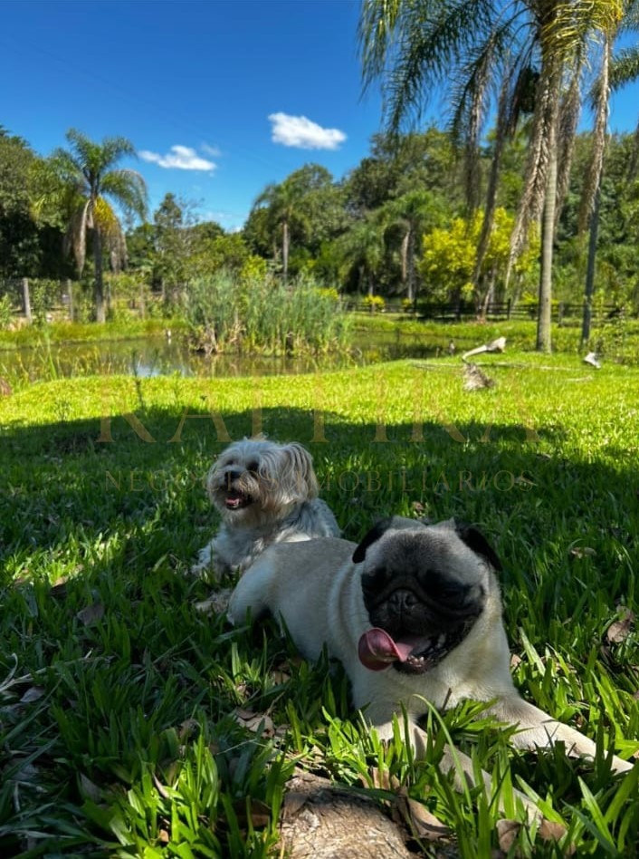 Sítio / Chácara para Venda em São Sebastião do Caí