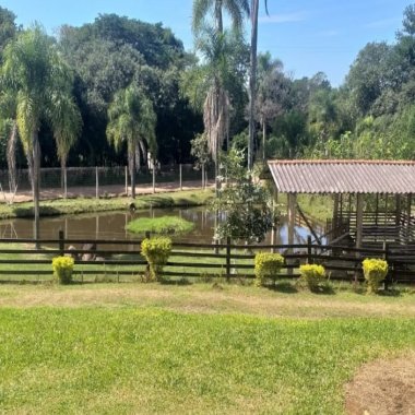 Sítio / Chácara para Venda em São Sebastião do Caí