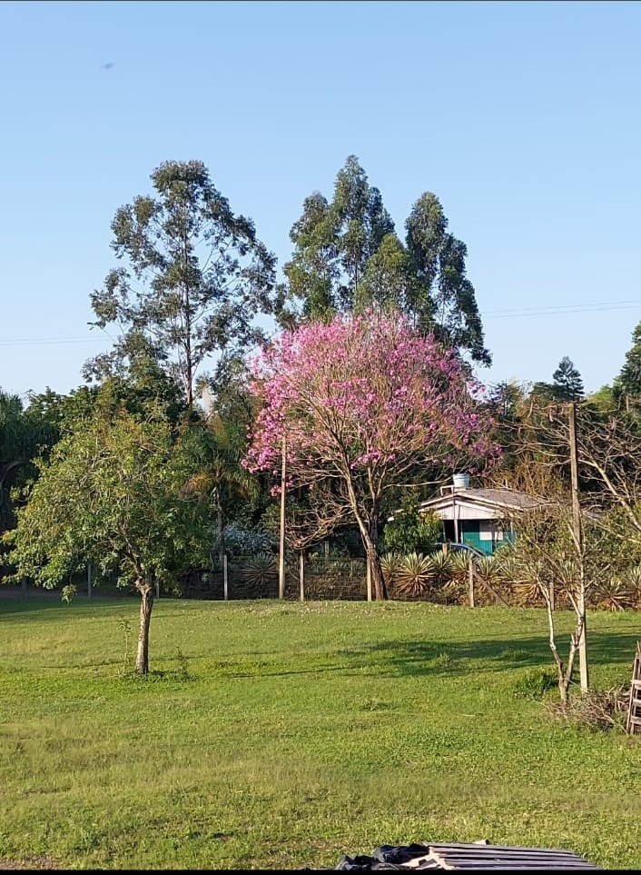 Sítio / Chácara para Venda em São Sebastião do Caí
