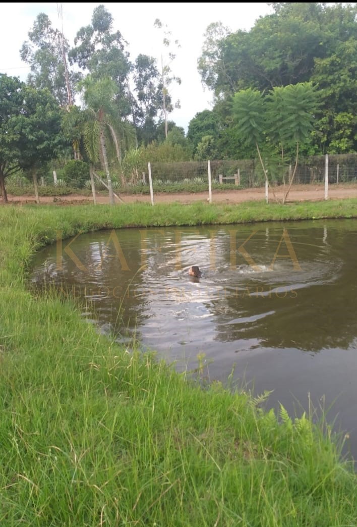 Sítio / Chácara para Venda em São Sebastião do Caí