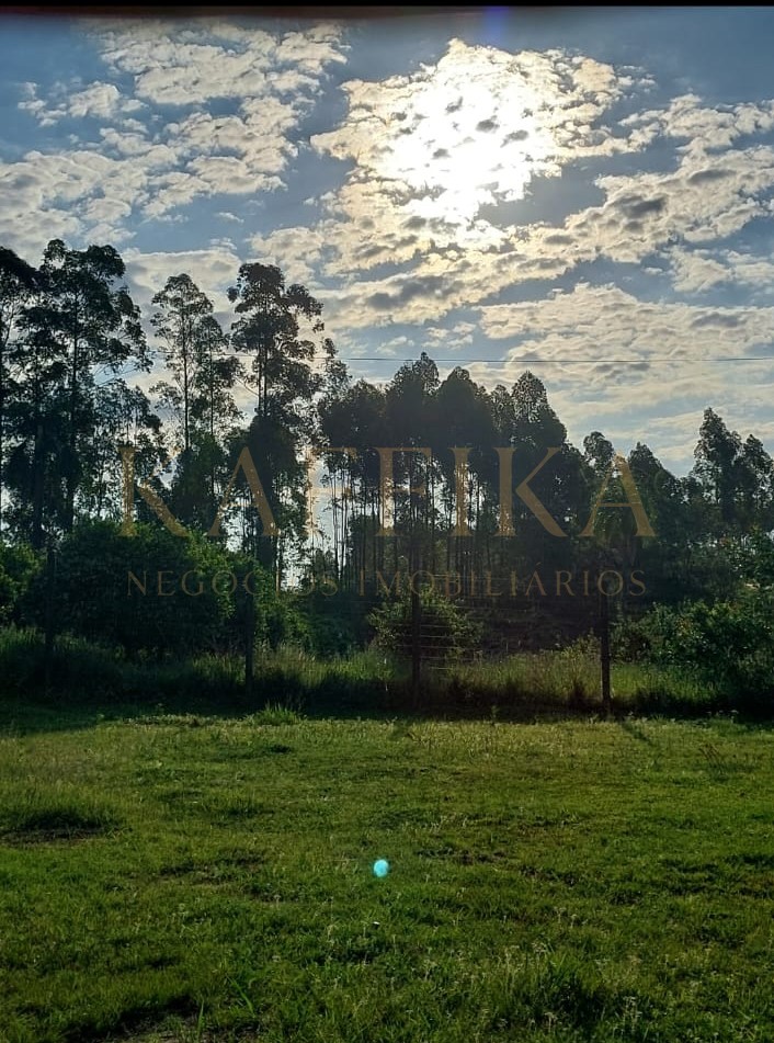 Sítio / Chácara para Venda em São Sebastião do Caí