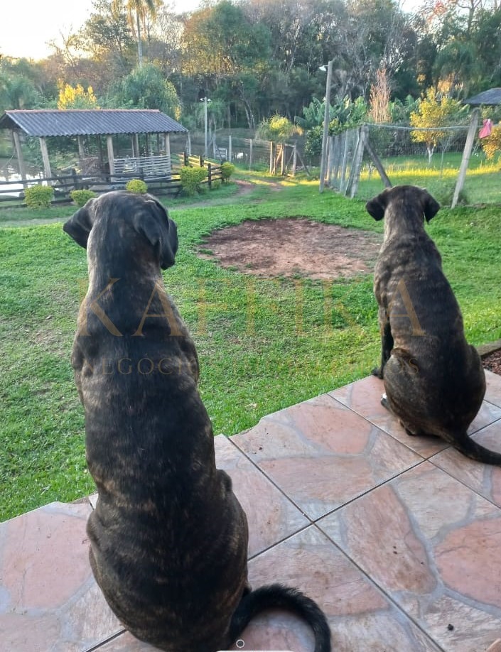 Sítio / Chácara para Venda em São Sebastião do Caí